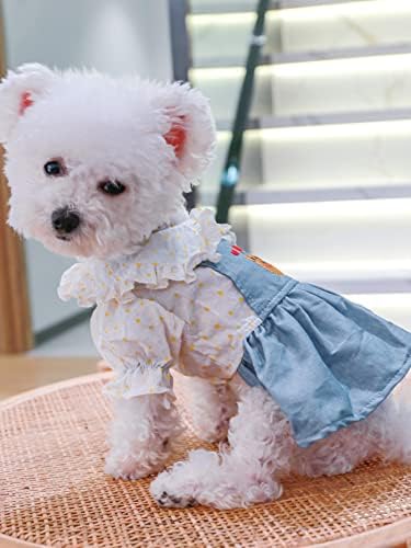Qwinee Heart & Bear שמלת כלבים רקומה חתול פרע פרוע לבוש ג'ינס שמלת חיית מחמד חצאית חצאית לכלבים קטנים בינוניים כלבים